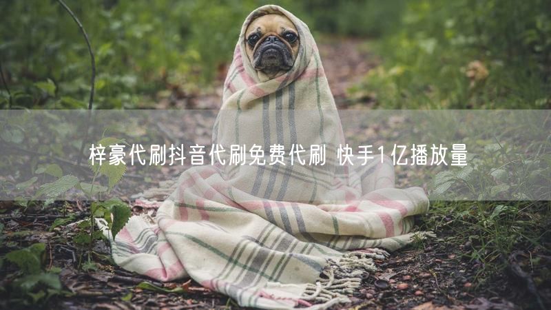 梓豪代刷抖音代刷免费代刷 快手1亿播放量