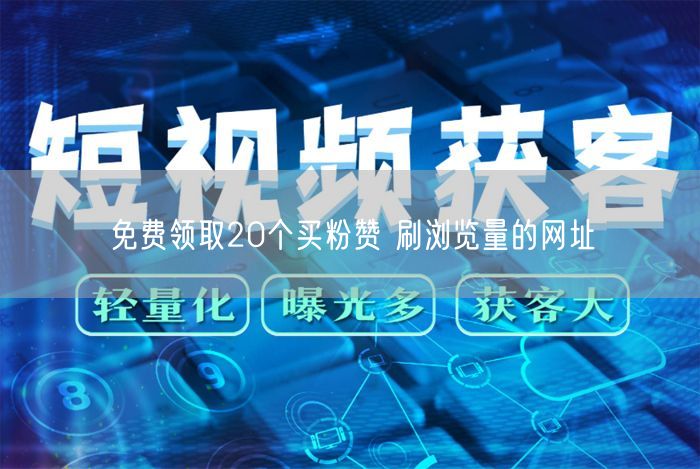 免费领取20个买粉赞 刷浏览量的网址