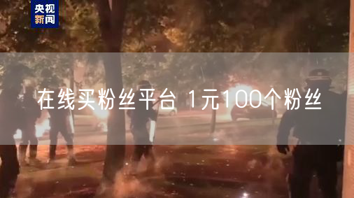 在线买粉丝平台 1元100个粉丝