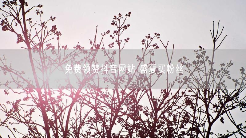 免费领赞抖音网站 盛夏买粉丝