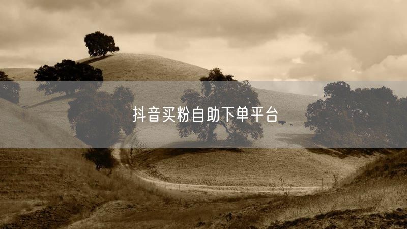 抖音买粉自助下单平台