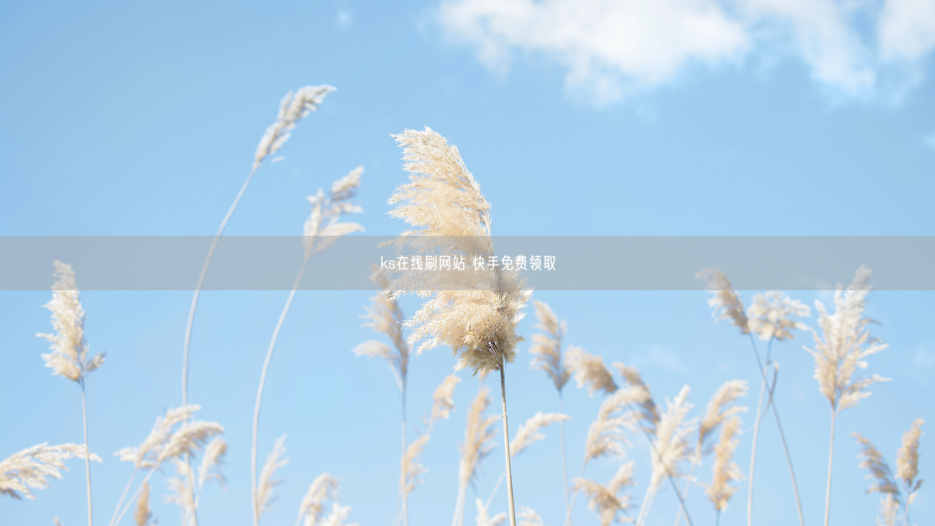 ks在线刷网站 快手免费领取