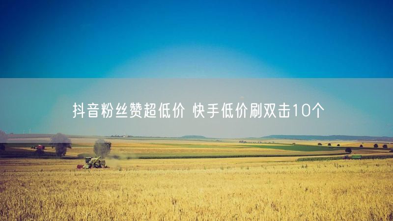抖音粉丝赞超低价 快手低价刷双击10个