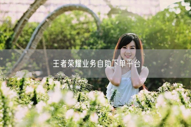 王者荣耀业务自助下单平台