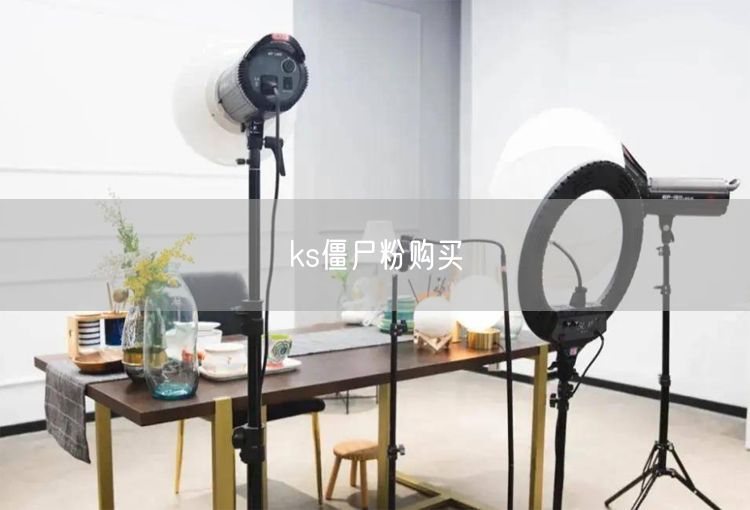 ks僵尸粉购买