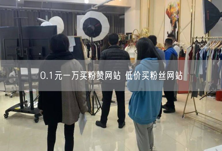 0.1元一万买粉赞网站 低价买粉丝网站