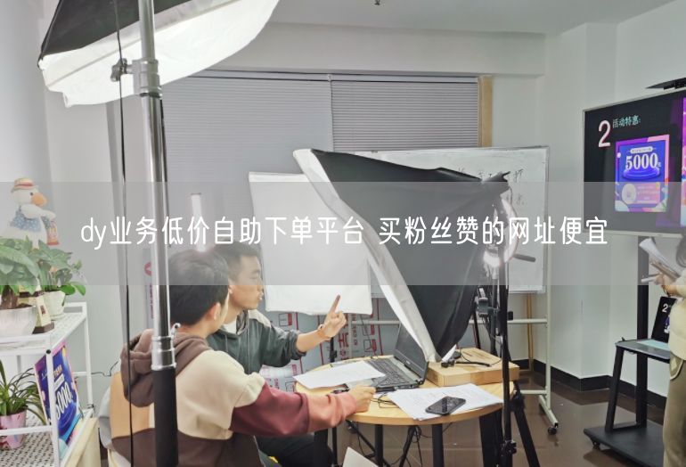 dy业务低价自助下单平台 买粉丝赞的网址便宜