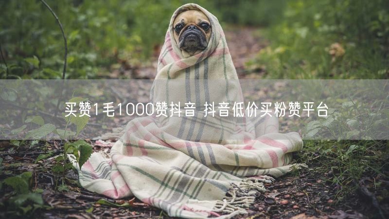 买赞1毛1000赞抖音 抖音低价买粉赞平台