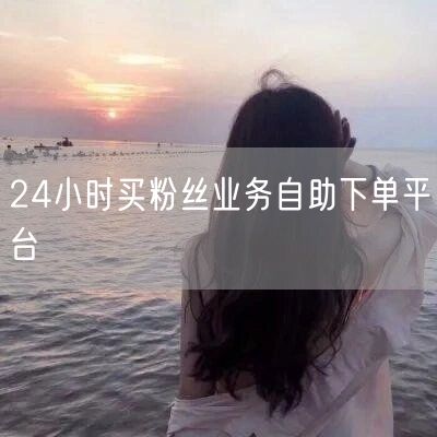 24小时买粉丝业务自助下单平台