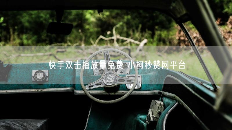 快手双击播放量免费 小柯秒赞网平台