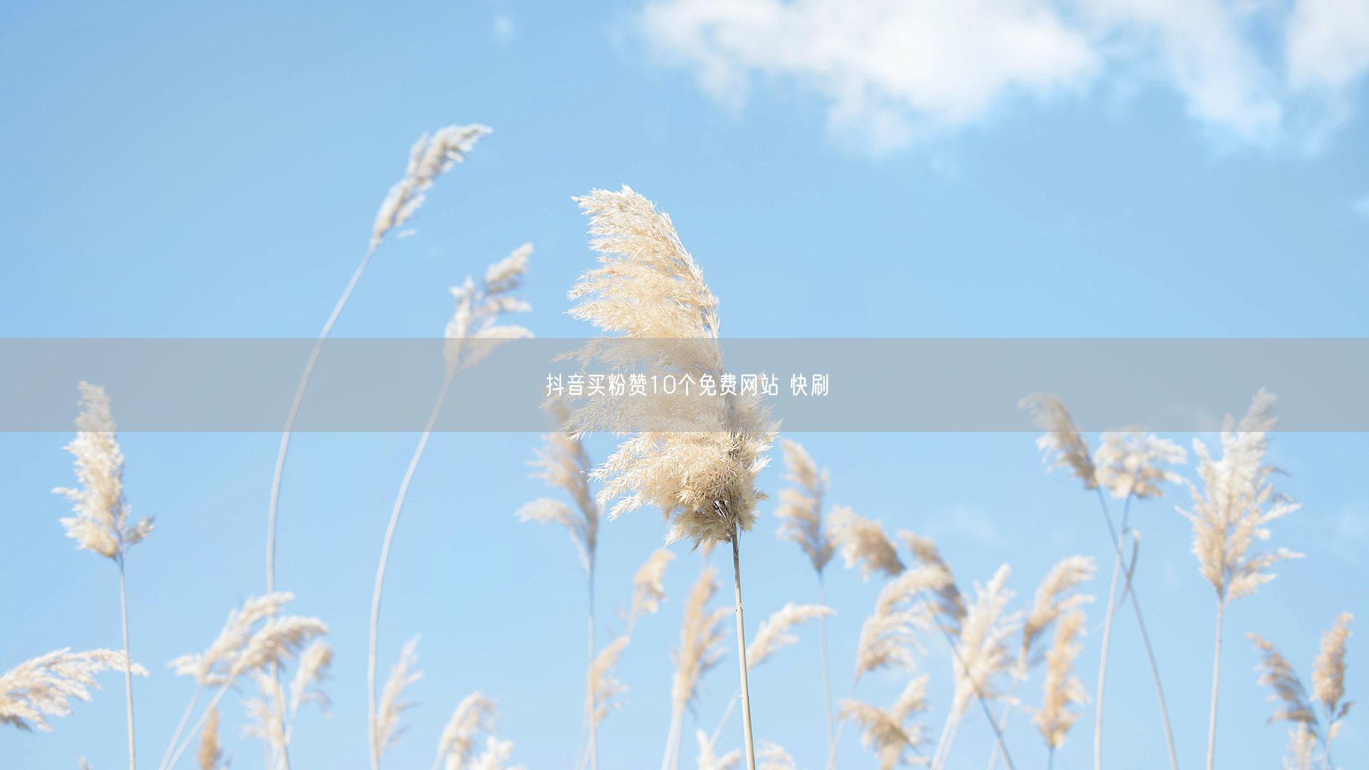 抖音买粉赞10个免费网站 快刷