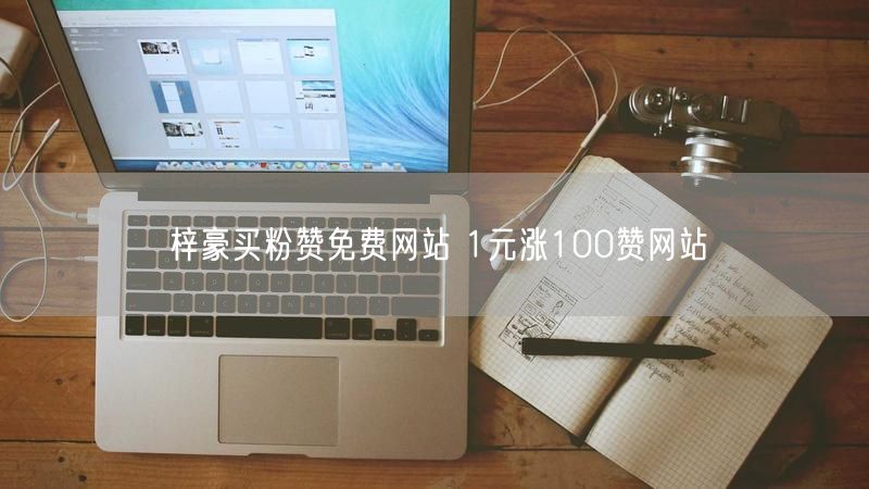 梓豪买粉赞免费网站 1元涨100赞网站