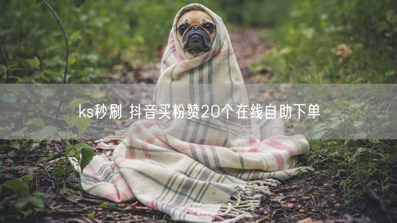 ks秒刷 抖音买粉赞20个在线自助下单