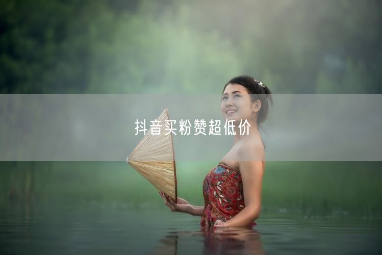 抖音买粉赞超低价