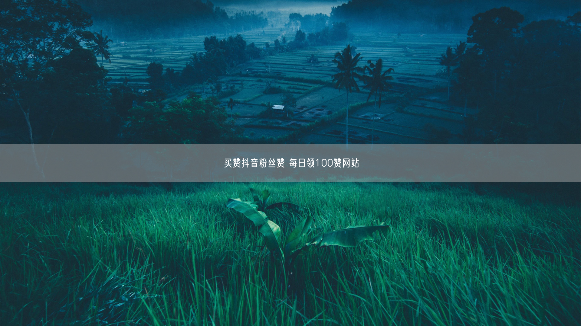 买赞抖音粉丝赞 每日领100赞网站
