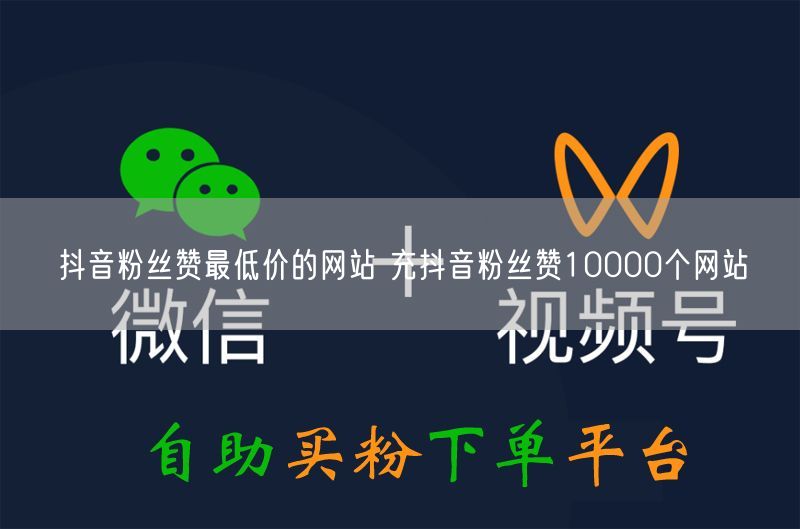 抖音粉丝赞最低价的网站 充抖音粉丝赞10000个网站
