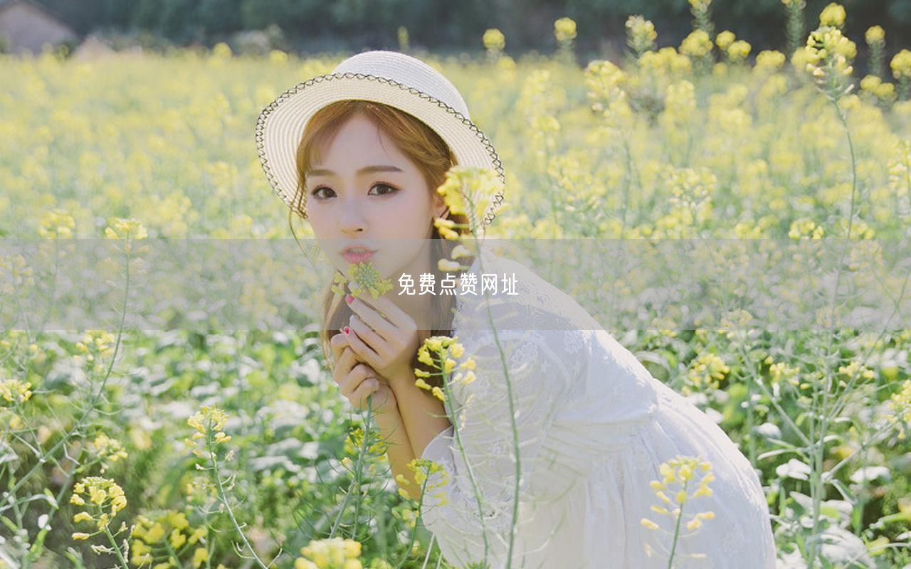免费点赞网址