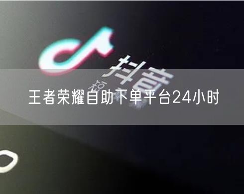 王者荣耀自助下单平台24小时