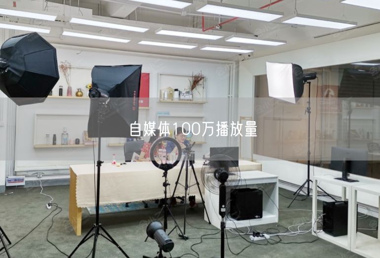 自媒体100万播放量
