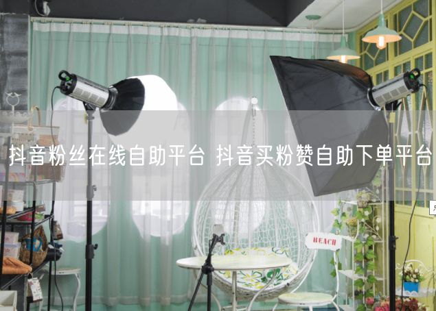 抖音粉丝在线自助平台 抖音买粉赞自助下单平台