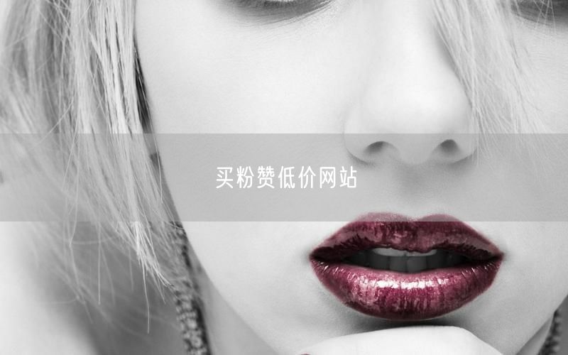 买粉赞低价网站
