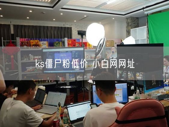 ks僵尸粉低价 小白网网址