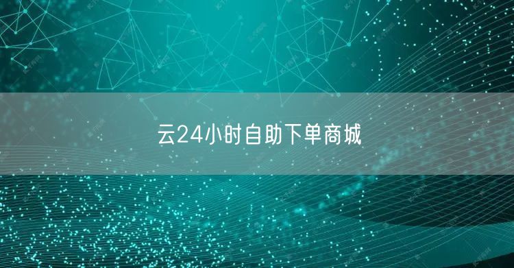 云24小时自助下单商城