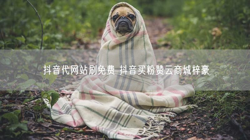 抖音代网站刷免费 抖音买粉赞云商城梓豪
