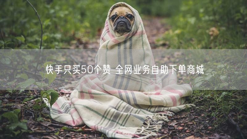 快手只买50个赞 全网业务自助下单商城