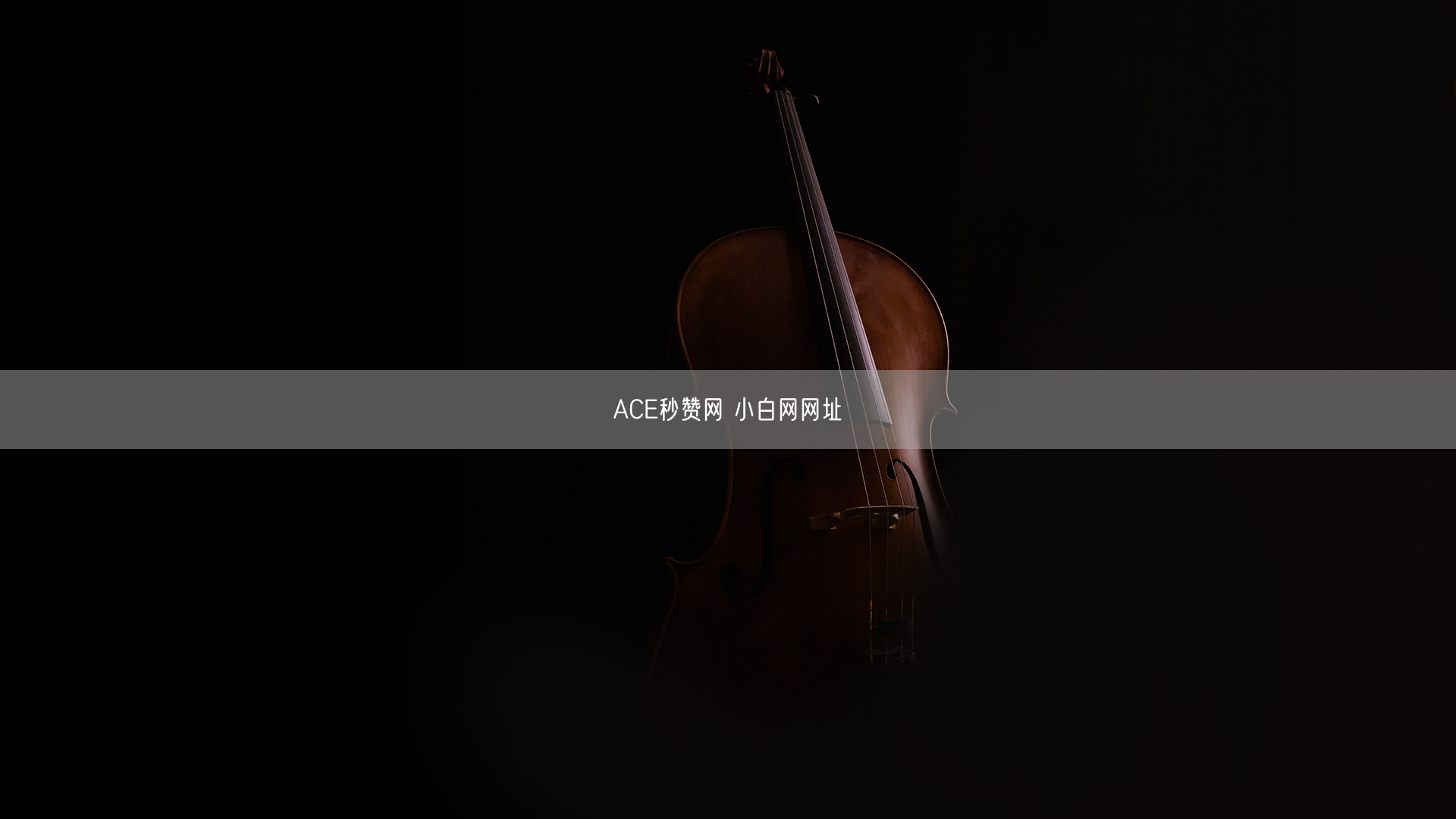 ACE秒赞网 小白网网址
