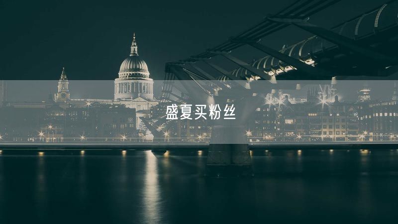 盛夏买粉丝