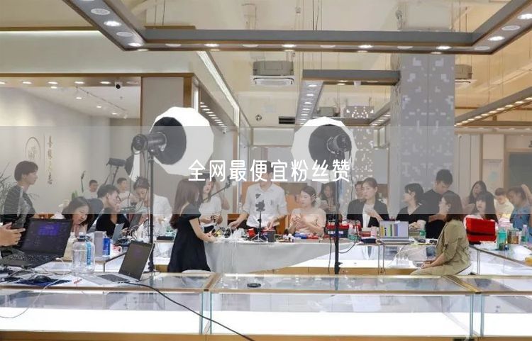 全网最便宜粉丝赞