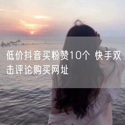 低价抖音买粉赞10个 快手双击评论购买网址