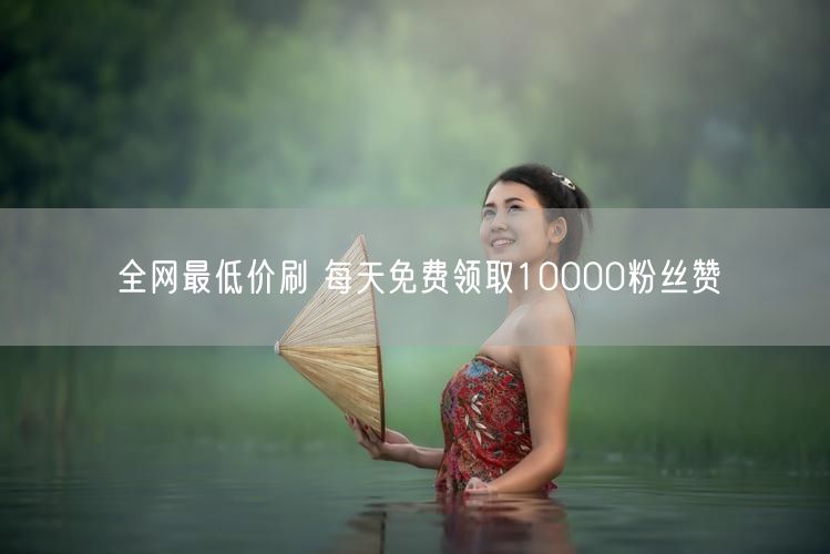全网最低价刷 每天免费领取10000粉丝赞