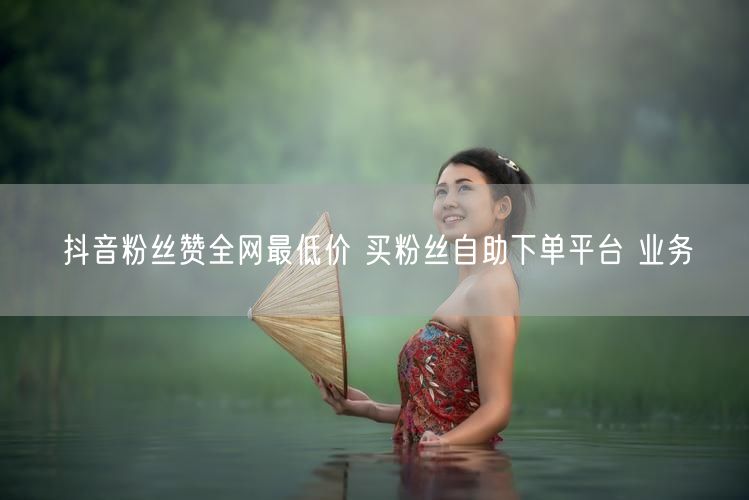 抖音粉丝赞全网最低价 买粉丝自助下单平台 业务