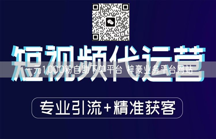 一元1000粉自助下单平台 梓豪业务平台网站