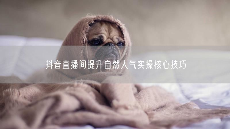 抖音直播间提升自然人气实操核心技巧