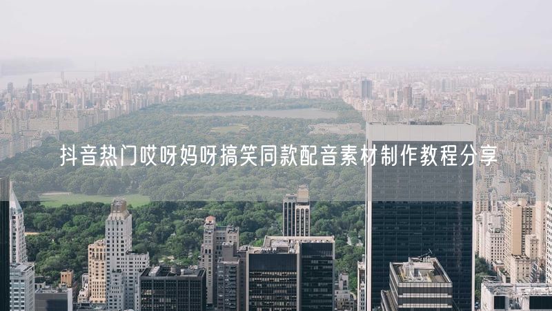 抖音热门哎呀妈呀搞笑同款配音素材制作教程分享