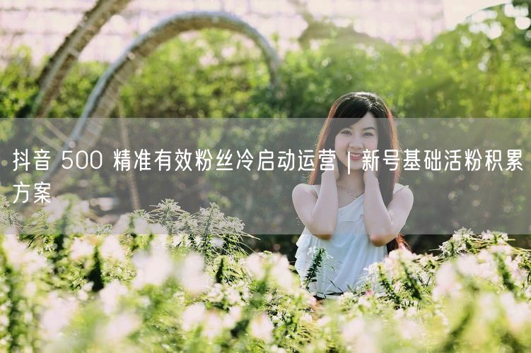 抖音 500 精准有效粉丝冷启动运营｜新号基础活粉积累方案